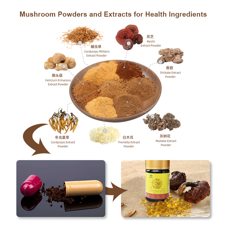 Why Customers Love Our Organic Reishi Powder